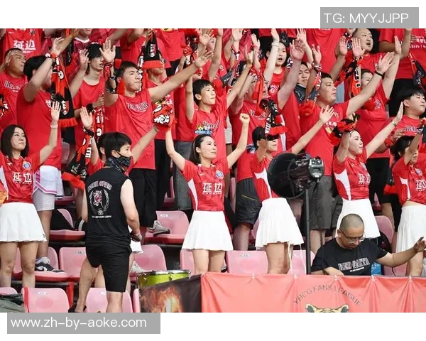 足球年费的价值与影响如何提升球迷体验与俱乐部收益